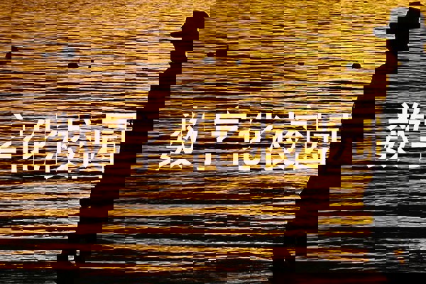 数字化校园