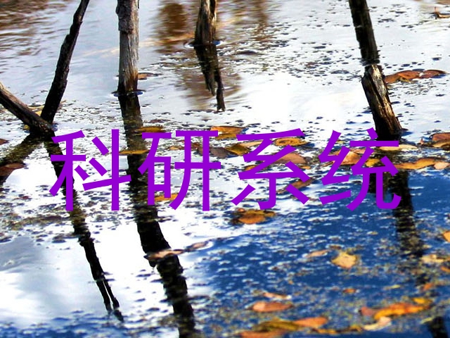 科研系统