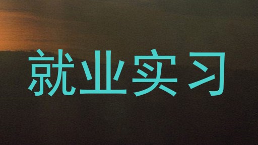 就业实习
