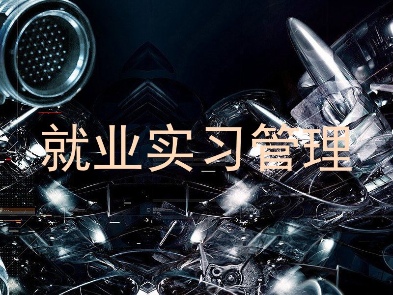就业实习管理