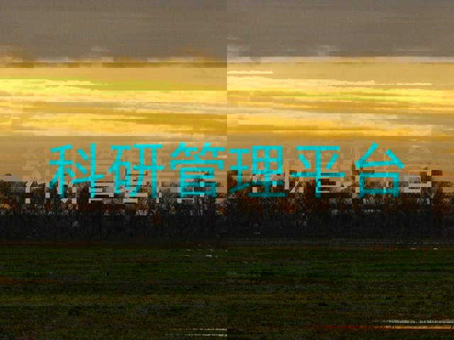 科研管理平台