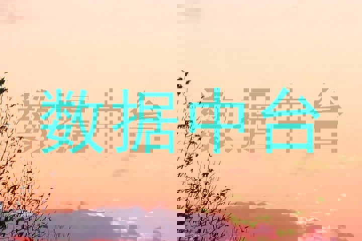数据中台