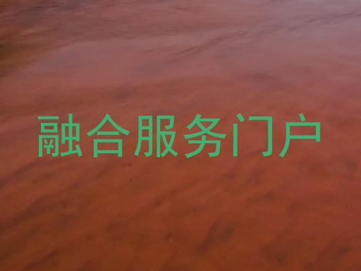 融合服务门户