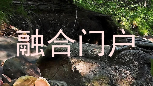 融合门户