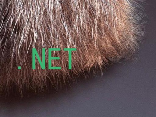 .NET