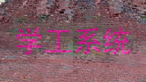 学工系统