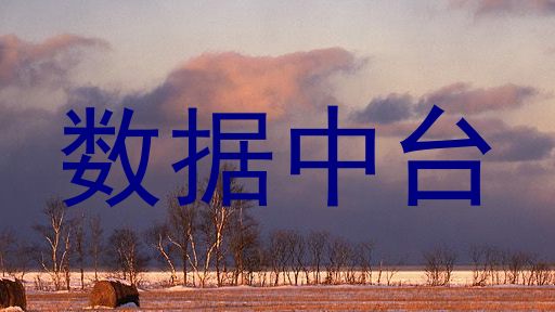 数据中台