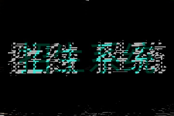 招生系统