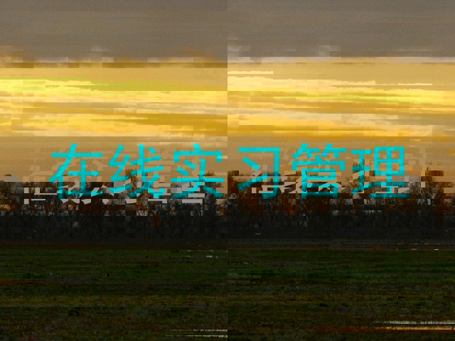 在线实习管理