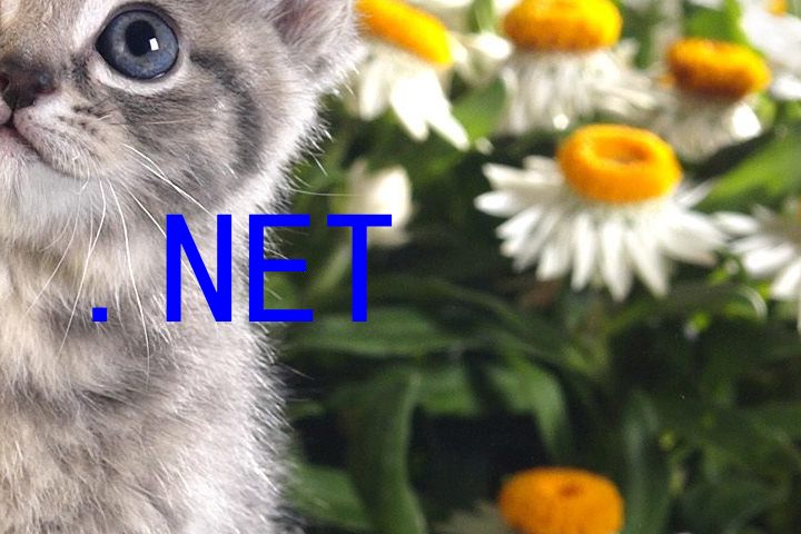 .NET