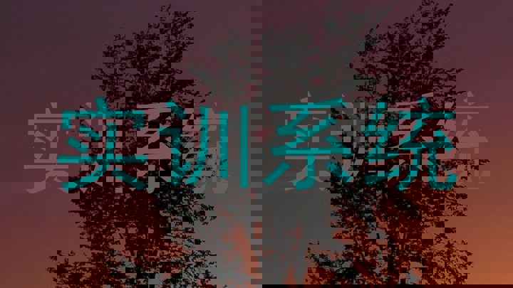 实训系统