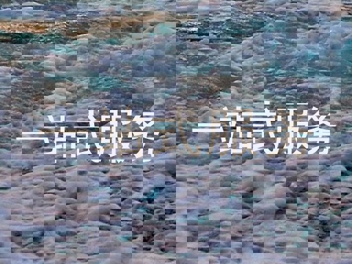 一站式服务
