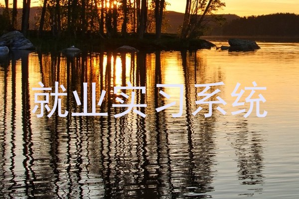 就业实习系统