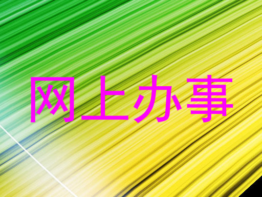 网上办事