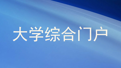 大学综合门户