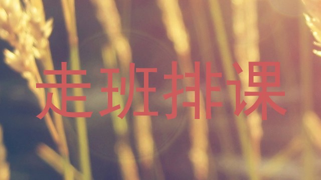 走班排课