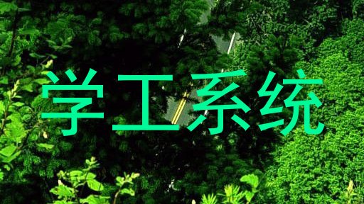 学工系统