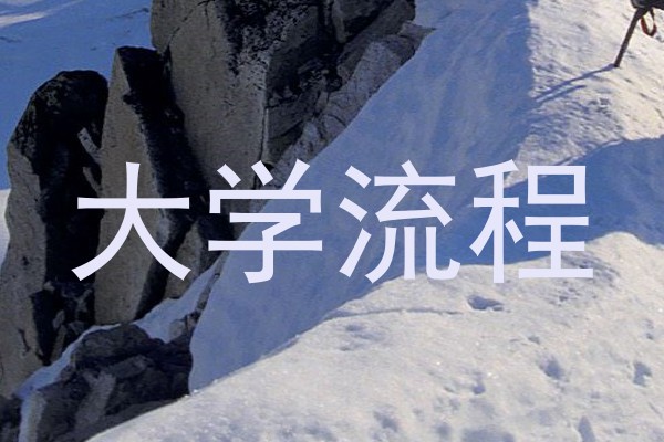 大学流程