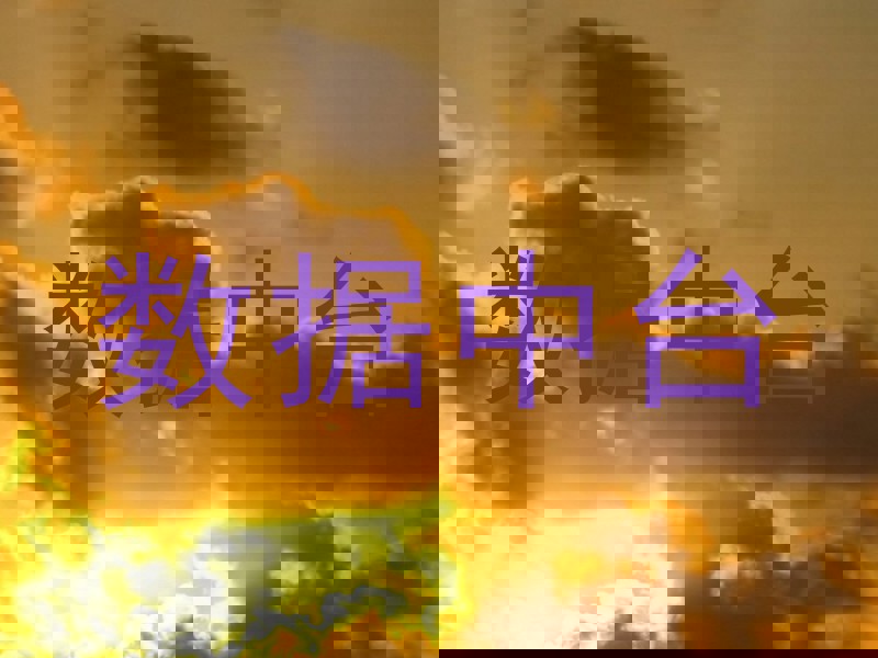 数据中台