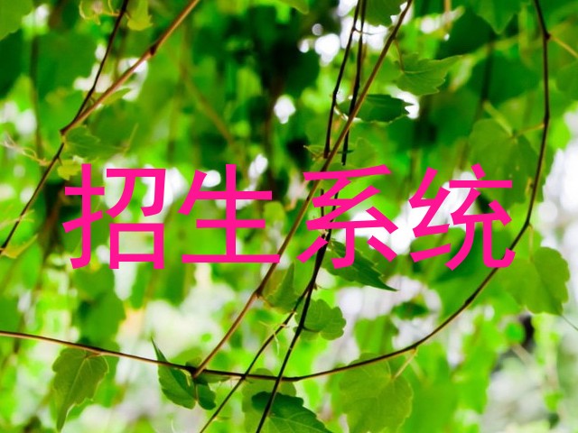 招生系统