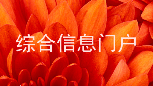 综合信息门户