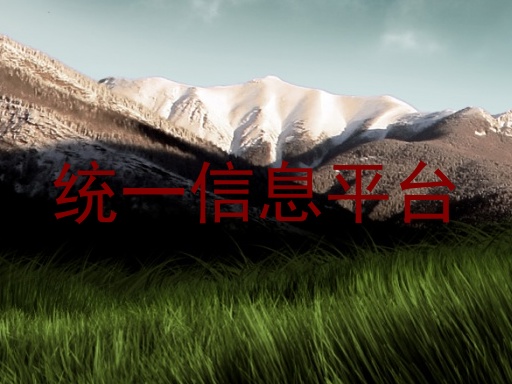 统一信息平台