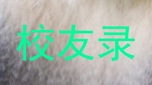 校友录