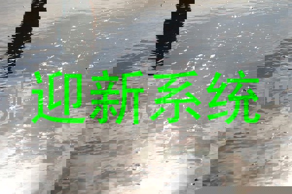 迎新系统