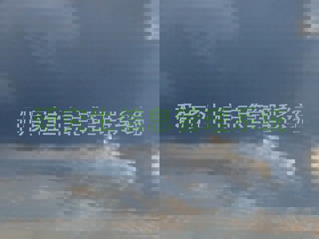 研究生信息管理系统