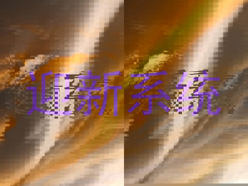 迎新系统