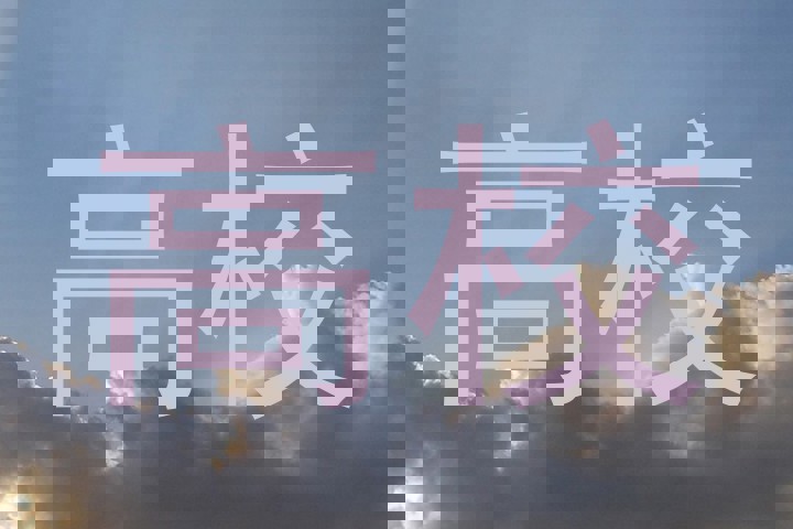 高校