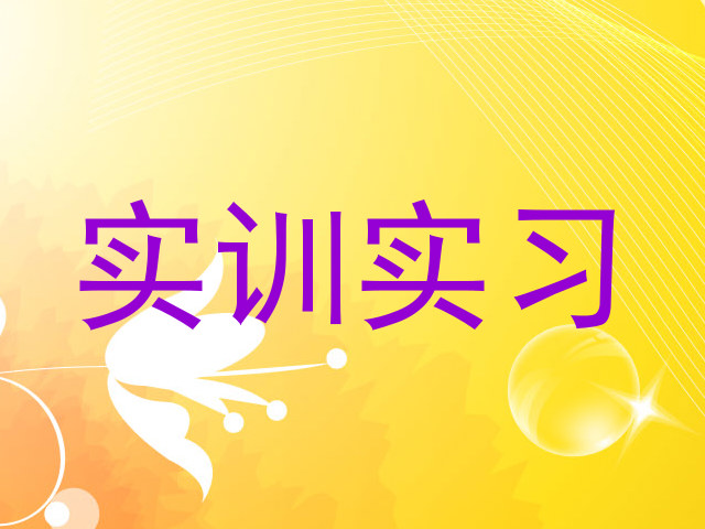 实训实习