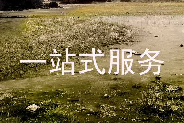 一站式服务
