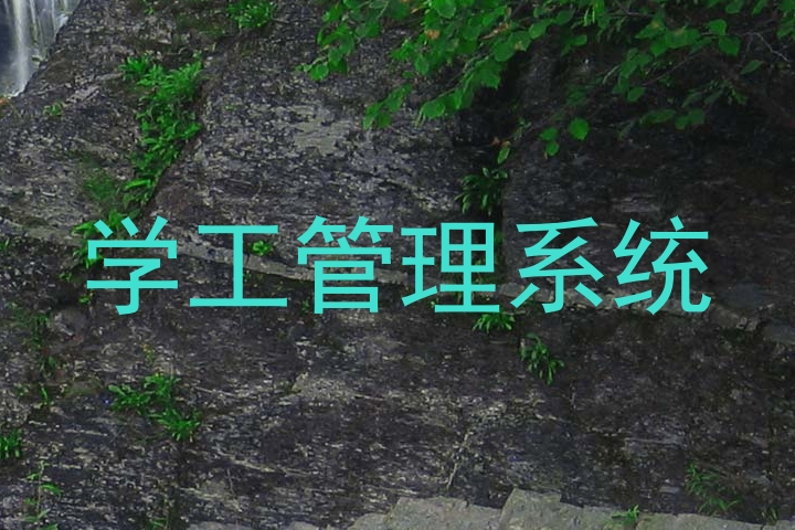 学工管理系统