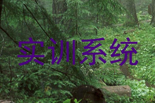 实训系统