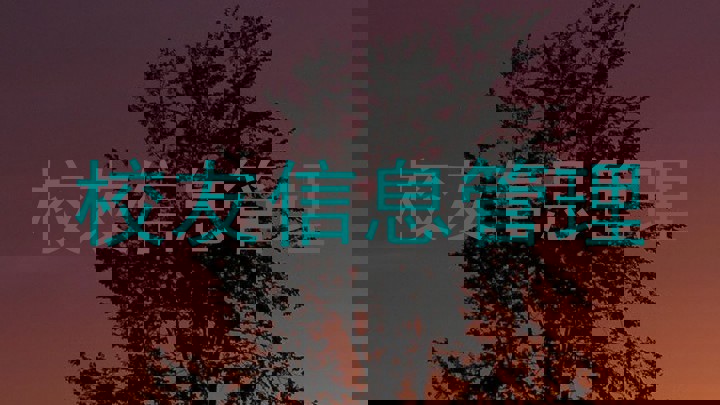 校友信息管理