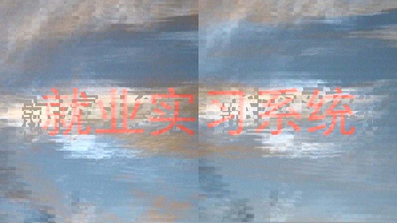 就业实习系统
