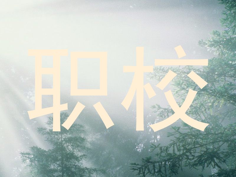 职校