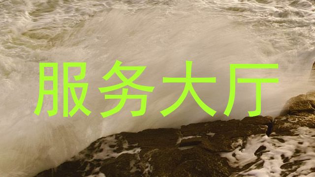 服务大厅