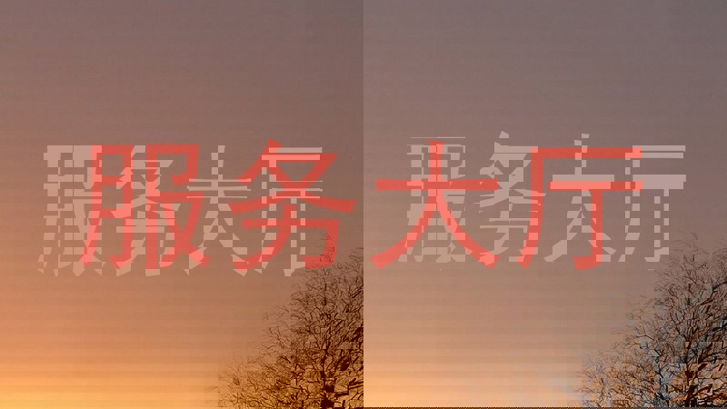 服务大厅