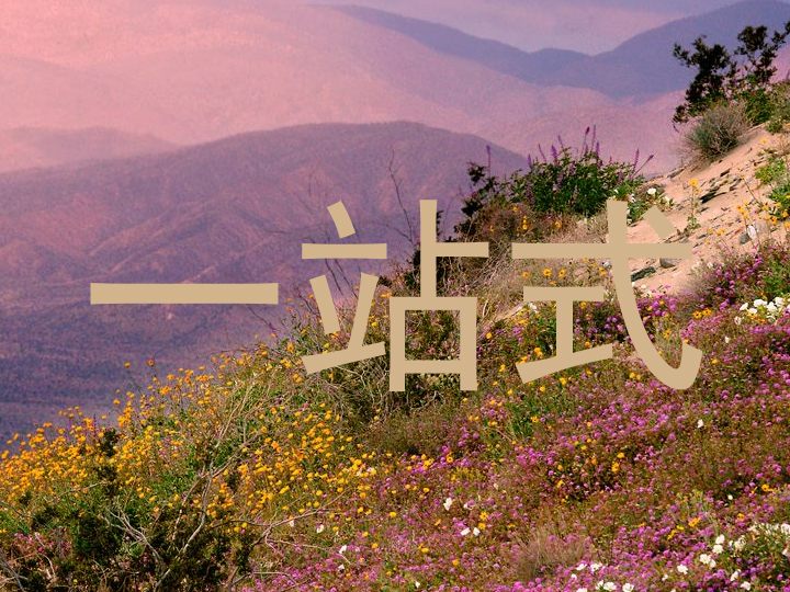 一站式