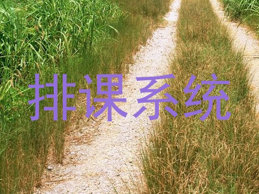 排课系统