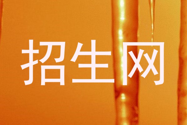 招生网