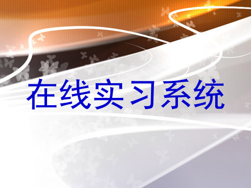 在线实习系统