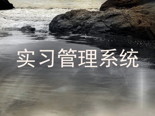 实习管理系统