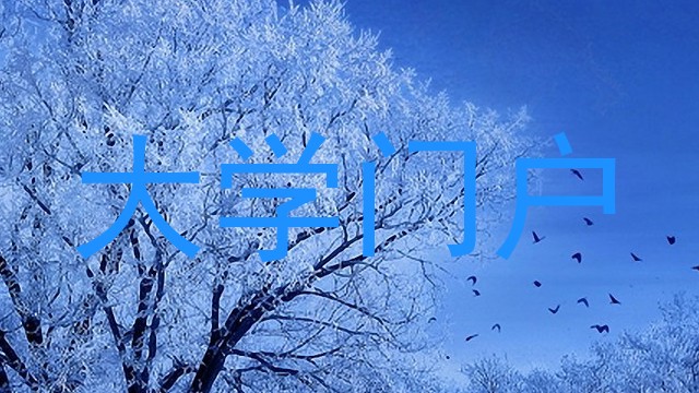 大学门户