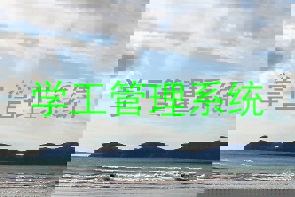 学工管理系统