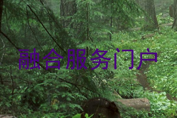 融合服务门户