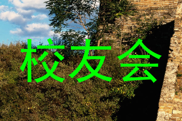 校友会