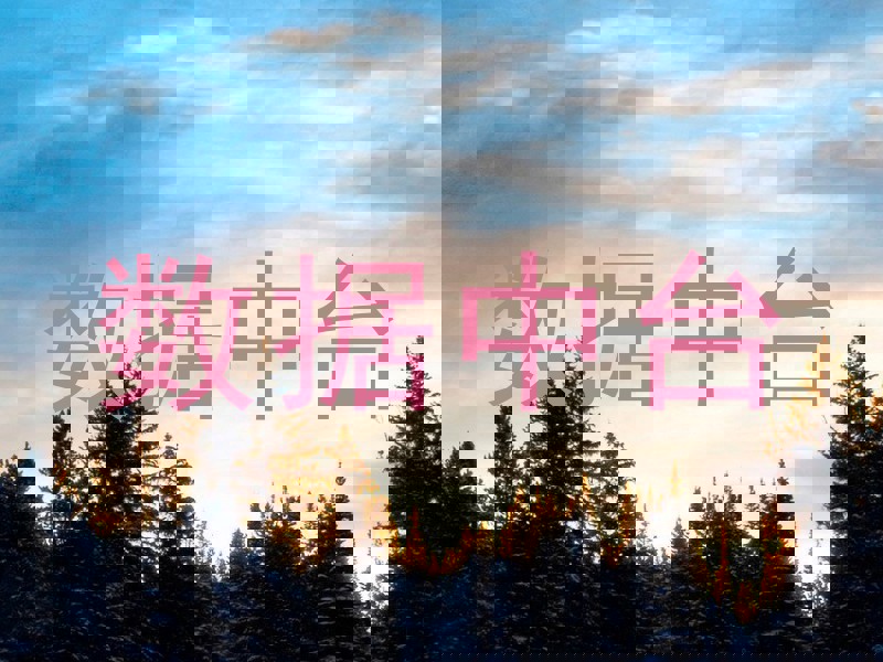 数据中台